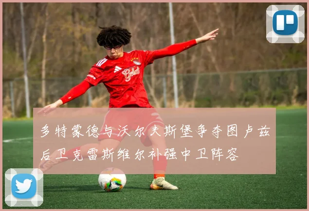 多特蒙德与沃尔夫斯堡争夺图卢兹后卫克雷斯维尔补强中卫阵容